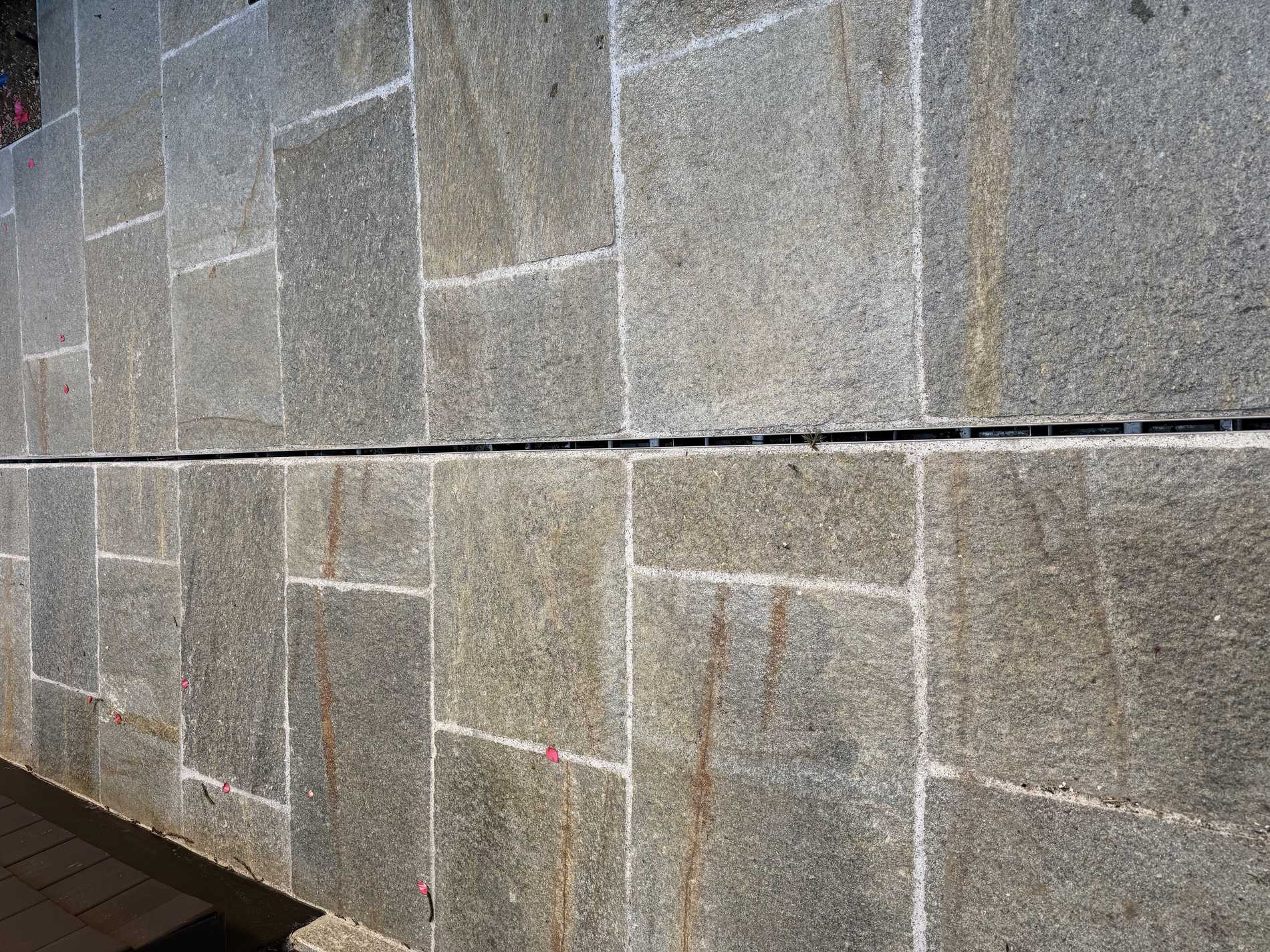 IMG 3225