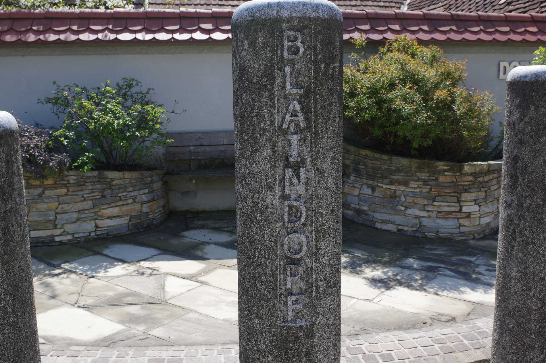IMGP4222
